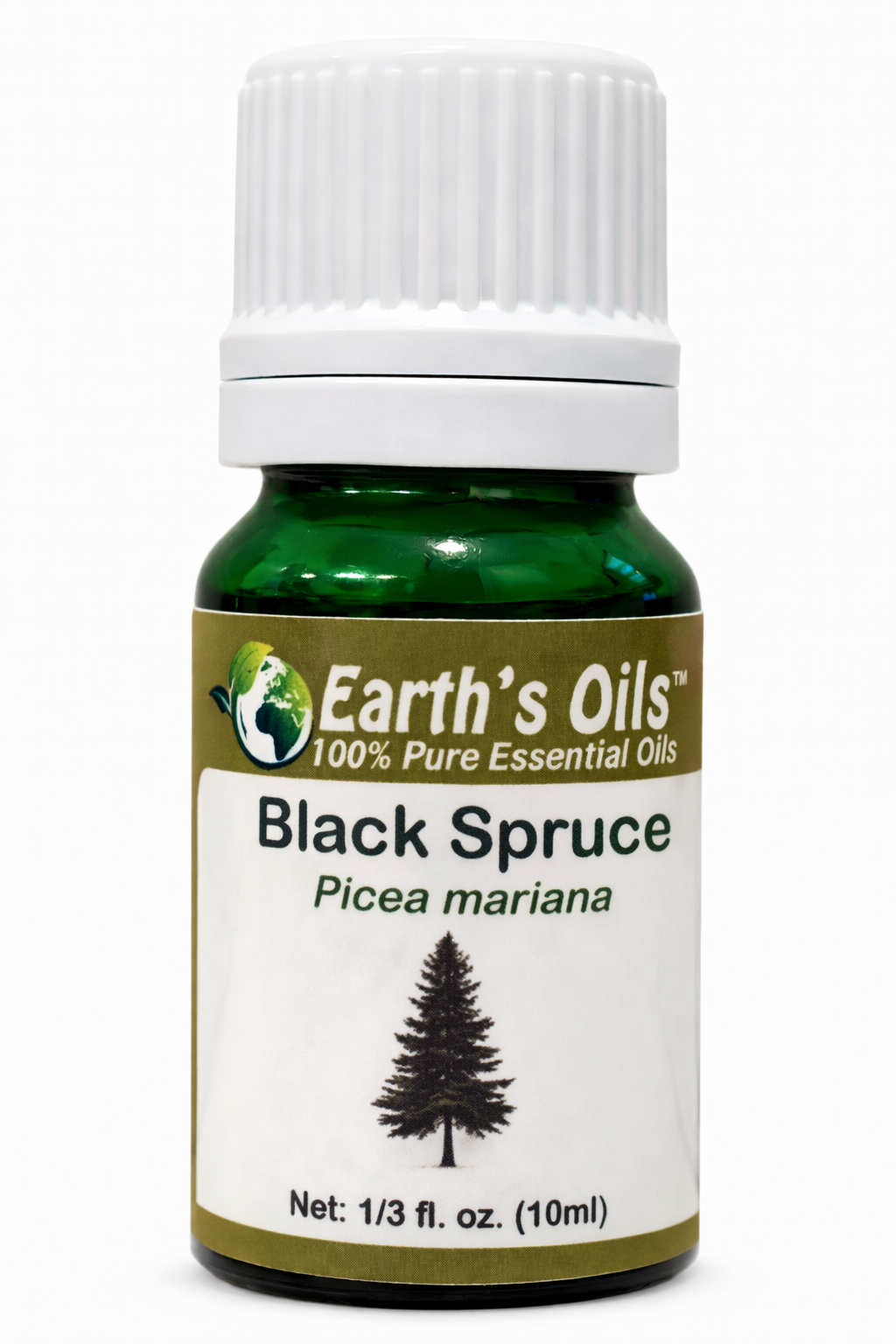 Black Spruce Essential Oil