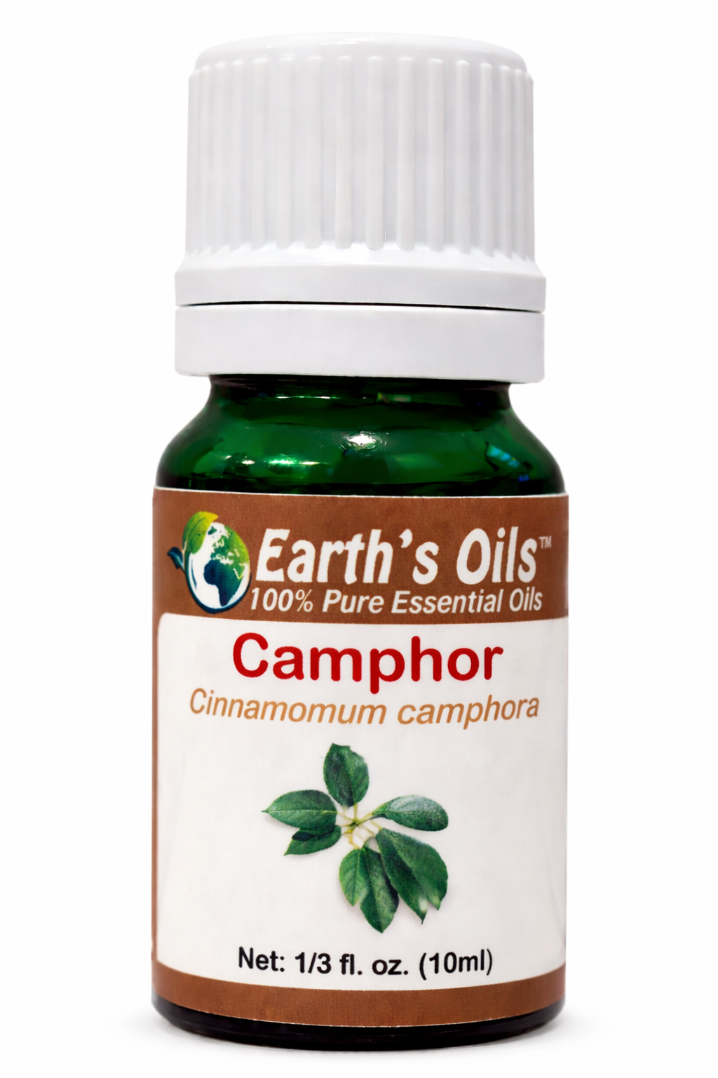 Camphor Essential Oil