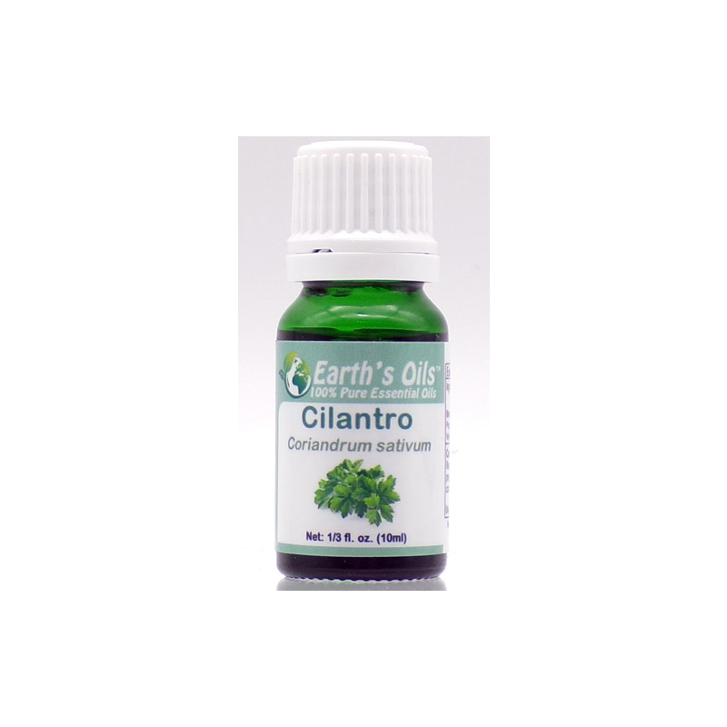 Cilantro Essential Oil