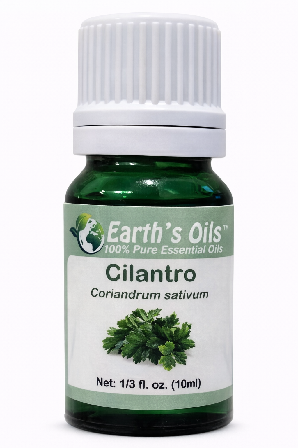 Cilantro Essential Oil