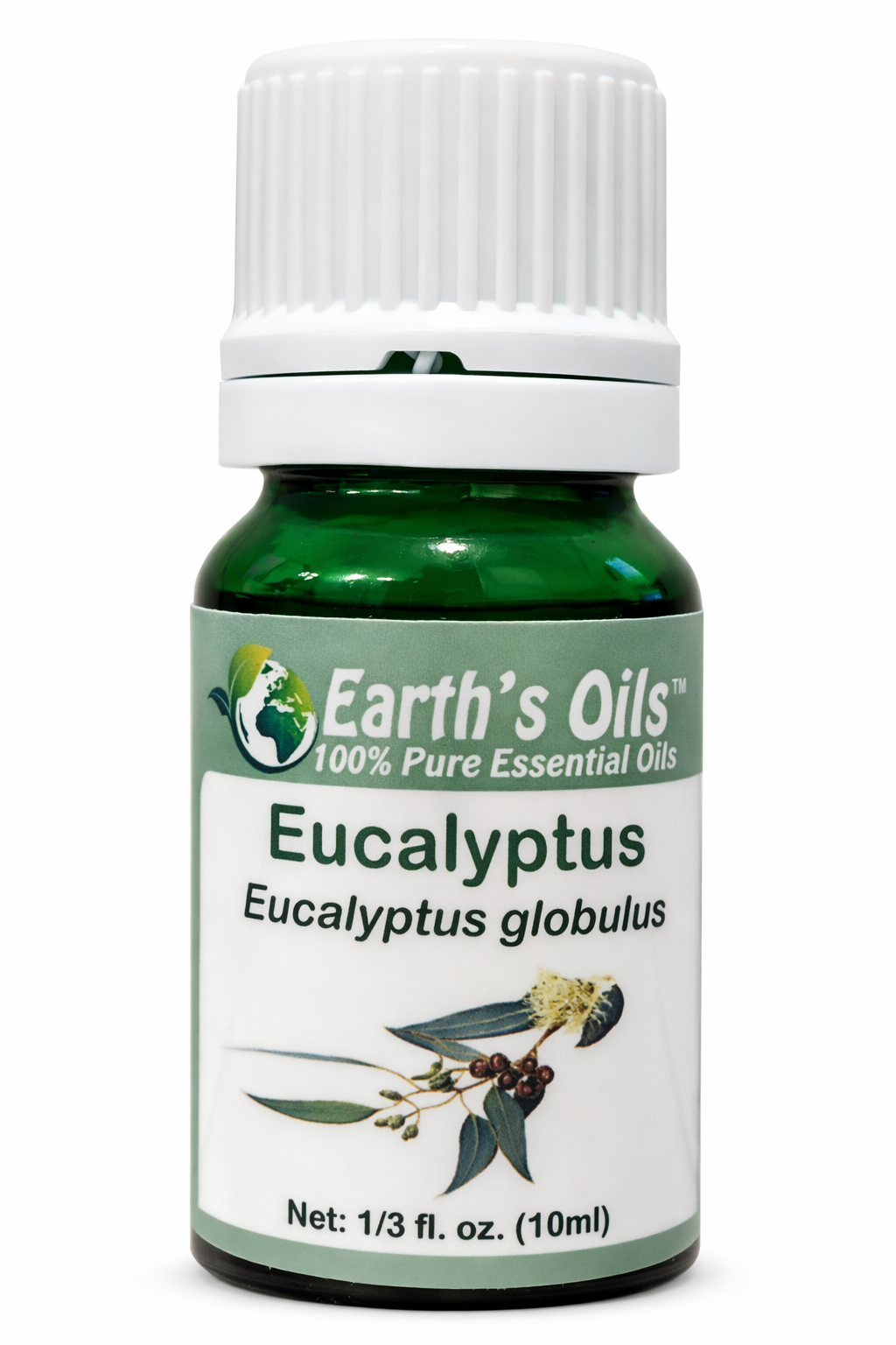 Eucalyptus Essential Oil