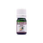 Ginger Essential Oil