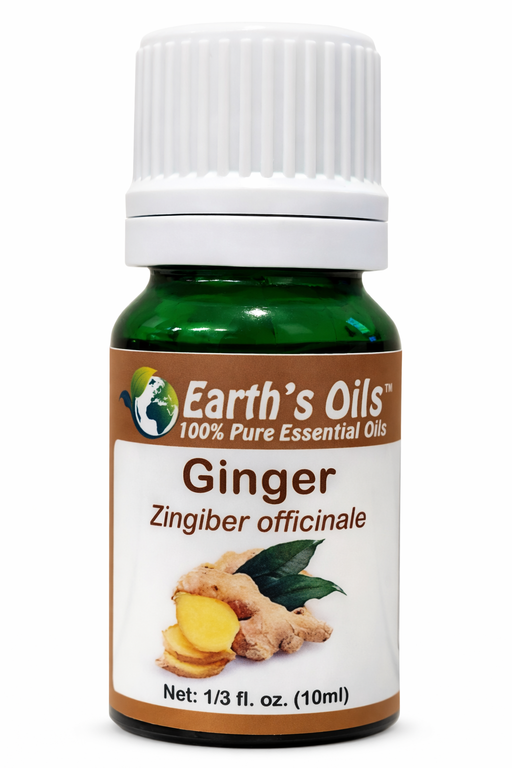 Ginger Essential Oil