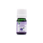 Lavender Essential Oil