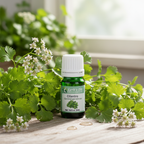 Cilantro Essential Oil Product Photo