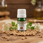 Coriander Essential Oil Product Photo