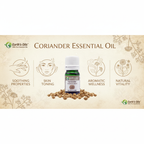 Coriander Oil Skincare Banner - Earth's Oils