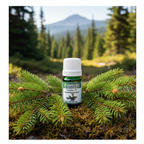 Douglas Fir Essential Oil Product Photo