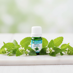Melissa Essential Oil Product Photo