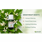 Petitgrain Essential Oil Aromatherapy Banner - Earth's Oils