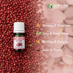 Pink Pepper Essential Oil Aromatherapy Banner - Earth's Oils
