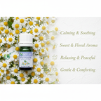 Roman Chamomile Essential Oil Aromatherapy Banner - Earth's Oils