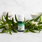 Tea Tree Essential Oil Product Photo